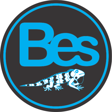 Beemsites